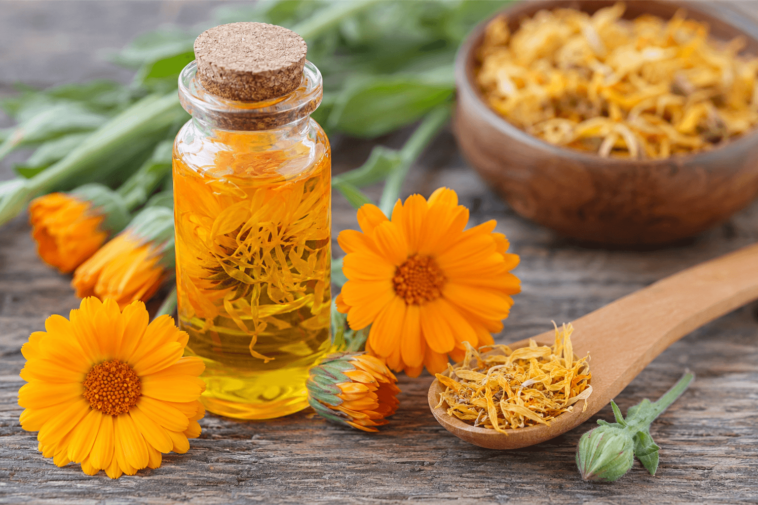 Calendula et peau